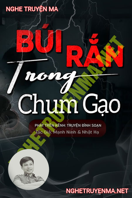 Búi Rắn Trong Chum Gạo