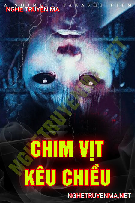 Chim Vịt Kêu Chiều