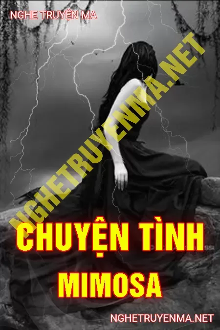 Chuyện Tình Mimosa