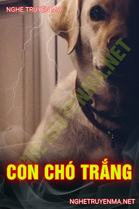 Con Chó Trắng