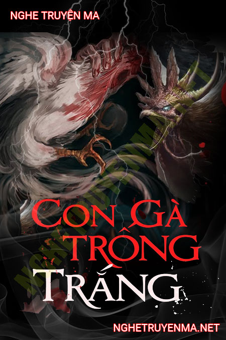 Con Gà Trống Trắng