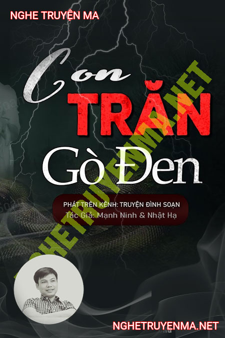 Con Trăn Ở Gò Đen