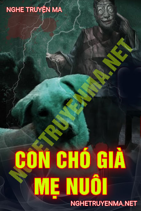 Con Chó Già Mẹ Nuôi