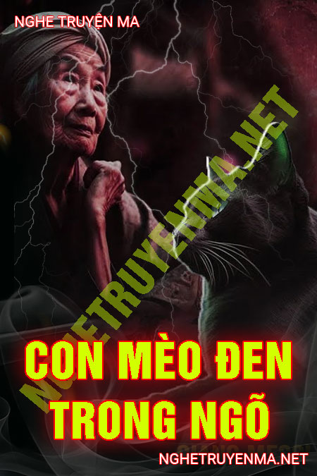 Con Mèo Đen Trong Ngõ