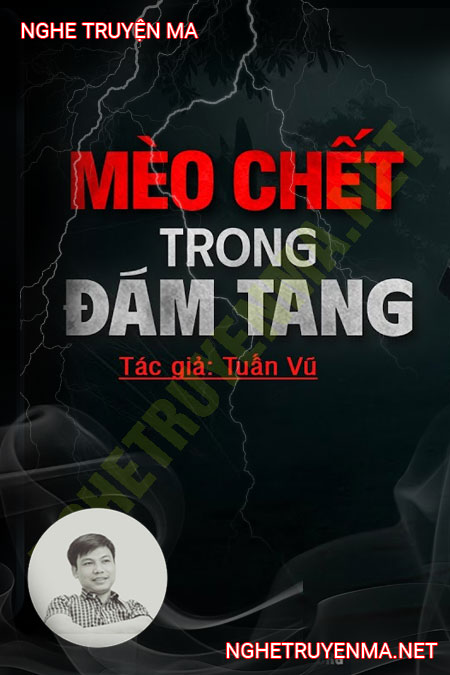 Mèo C.hết Trong Đám Tang